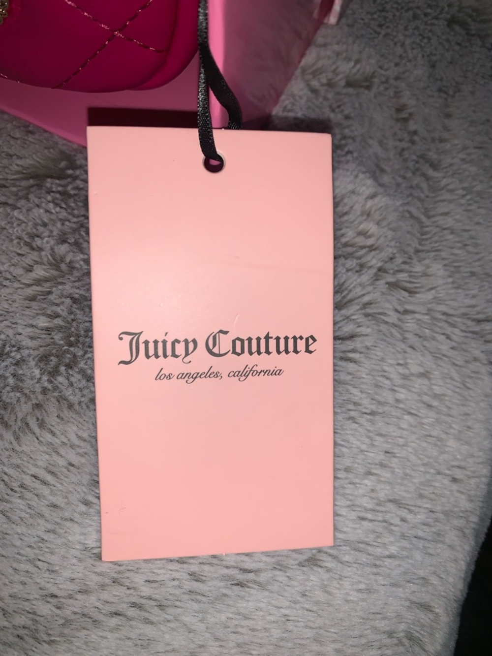๐- Juicy Couture PUFFY CAMERA CROSSBODY with Charm Accents AND COIN POUCH - Picture 2 of 11